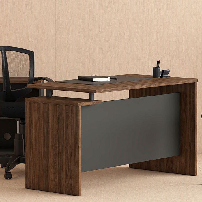 Fiesta Modern Office Desk